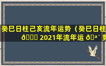 癸巳日柱己亥流年运势（癸巳日柱 🐒 2021年流年运 🪴 势）